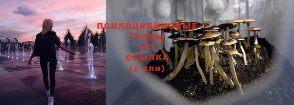 мет Аркадак