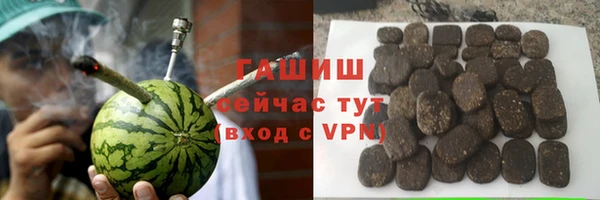 стаф Медногорск