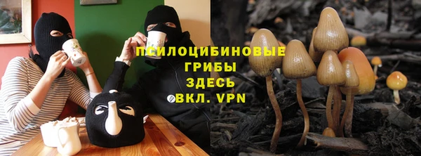 spice Армянск
